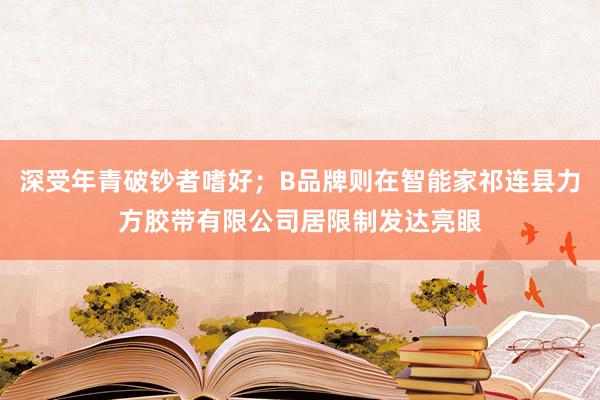 深受年青破钞者嗜好;B品牌则在智能家祁连县力方胶带有限公司居限制发达亮眼